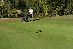 2018-09-26-golf-MGEN-Vendee (19).jpg