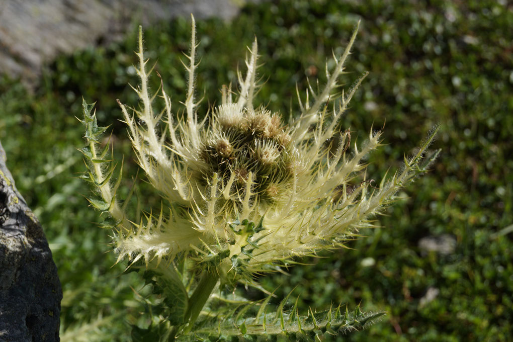 111-2013-08-12 refuge Bec Aigle (32)
